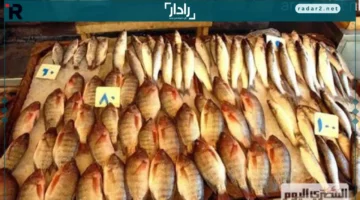 تذبذب أسعار الأسماك بأسواق الإسكندرية بسبب نوة الفيضة الصغرى